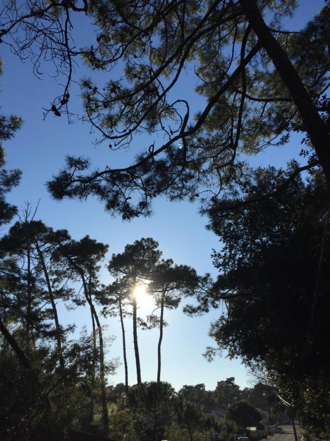 Villa Au Coeur De Ronce Les Bains 200 Metres De La Plage ラ・トランブラード エクステリア 写真